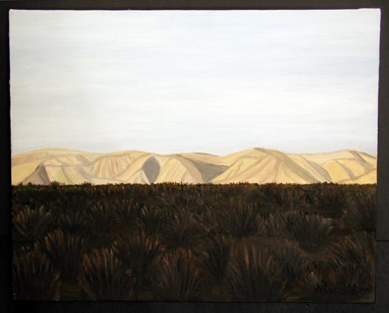 Death Valley Oil on Canvas, 20 x 16 in. For Sale